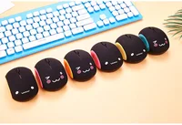 Computer Peripherals