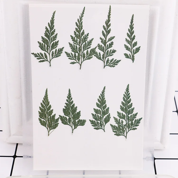 4414785186_448688674