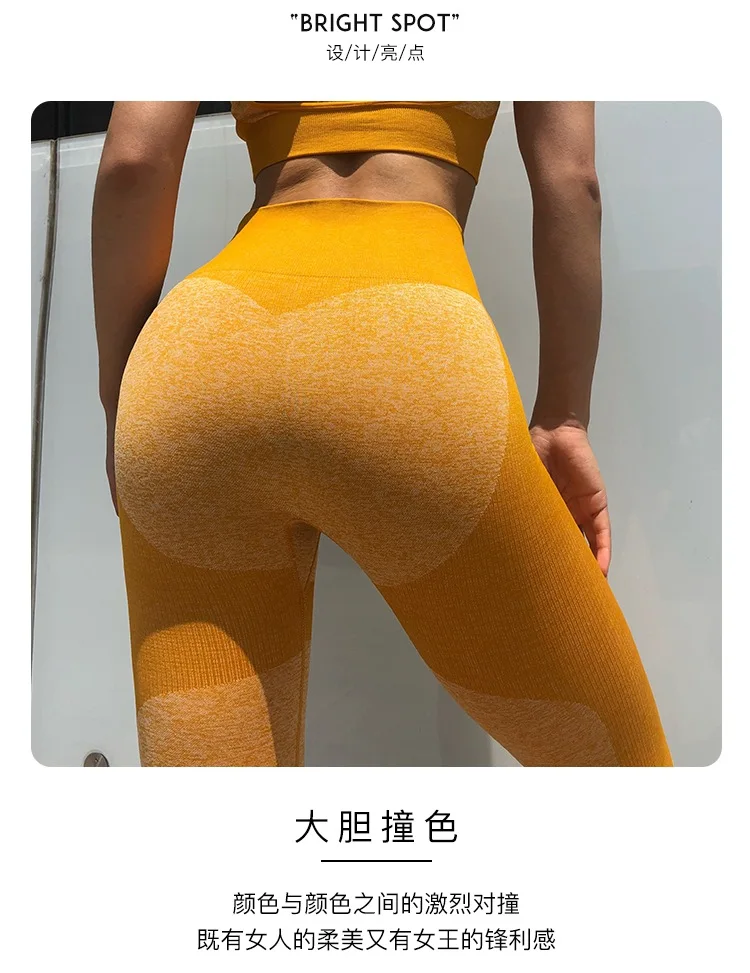 ZCK027_03.jpg