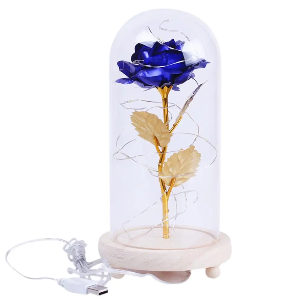 LED Eternal Rose in Glass Dome Beauty and beast Rose Decorative Flowers led Night lights Valentine Gift Women Mother Day Gifts - Цвет: DL