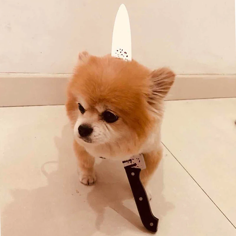 9301125596_403883603