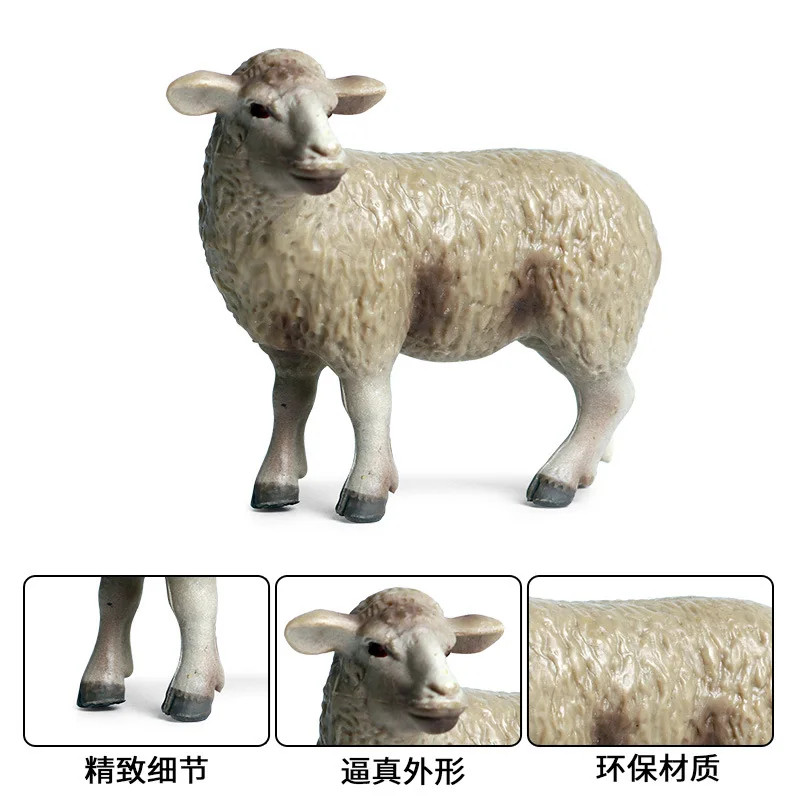 Детская имитация, твердая модель, мир дикой природы, игрушки, Мериносовая овца, ранчо, овца, птица, Коллекционирование, подарки, Игрушечная модель