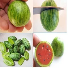 Овощи и фрукты Флорес 1 упаковка мини Арбузные плантации вкус как огурцы бонсай растения Планте для дома и сада