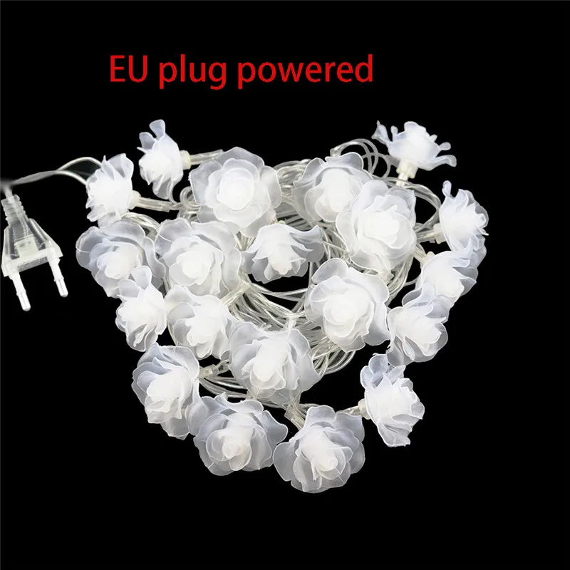 HTB1WHE0axn1gK0jSZKPq6xvUXXaW