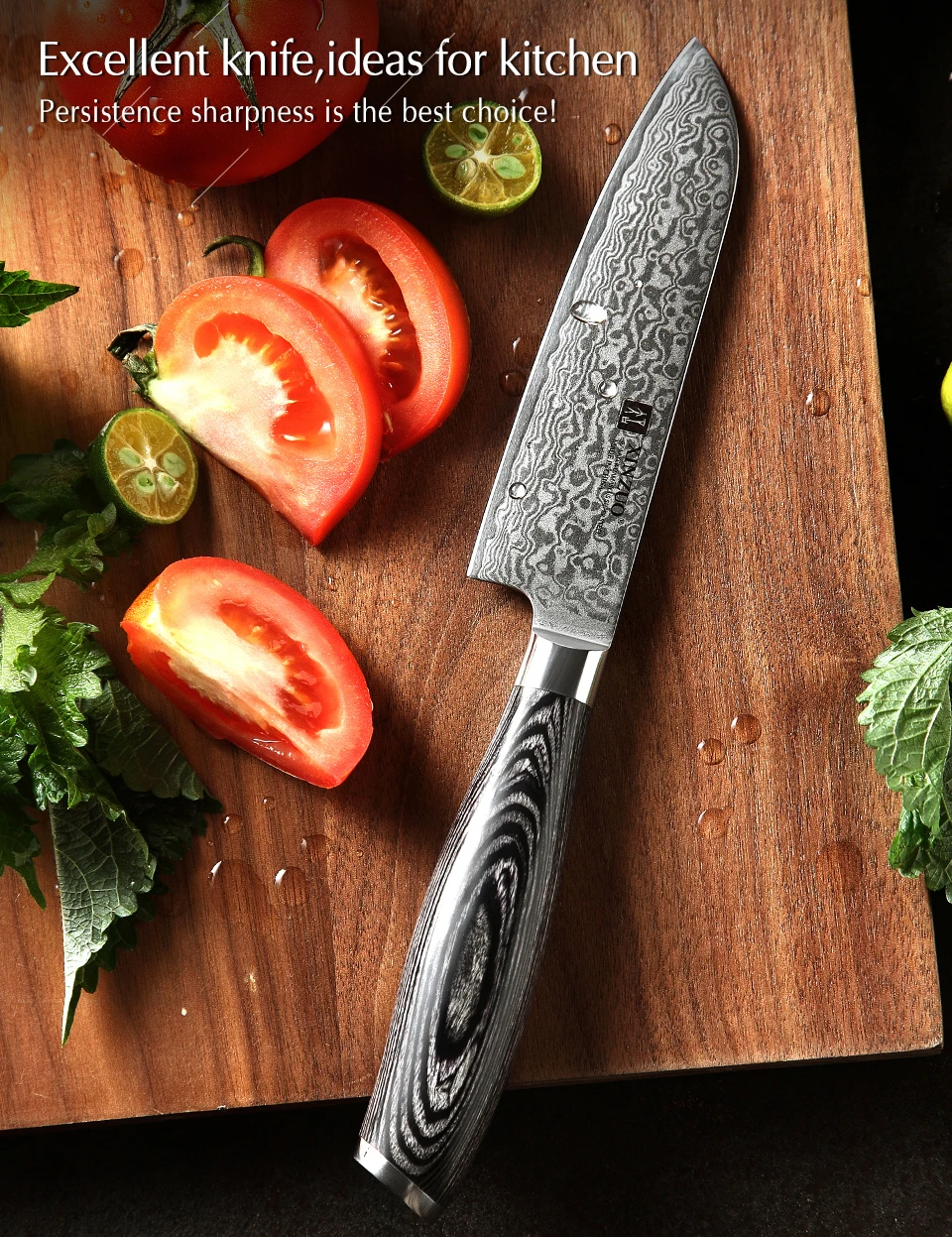 XINZUO " Santoku ножи 67 слоев японский стиль VG10 дамасский кухонный нож шеф-повара для овощей кованая сталь Pakkawood ручка