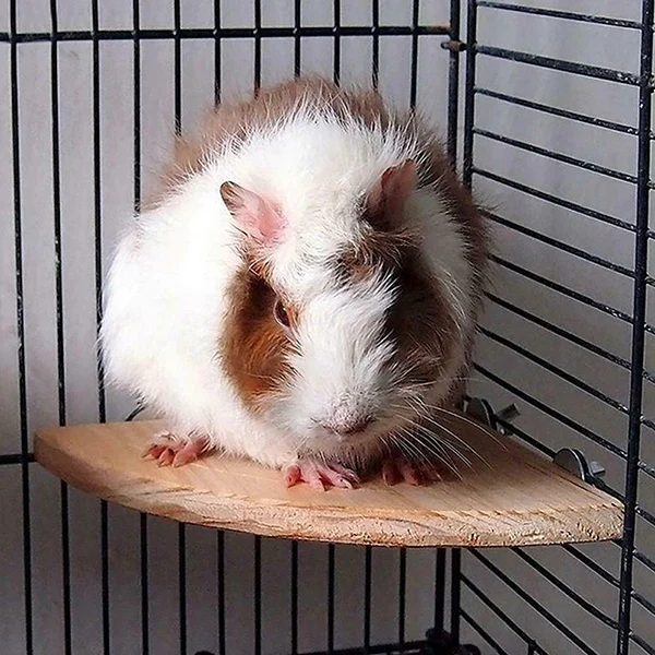 Деревянная платформа кронштейн стойка игрушка для домашних животных Птица Попугай хомяк вентилятор ответвления для птичьей клетки игрушки товары для домашних животных объятия-предложения