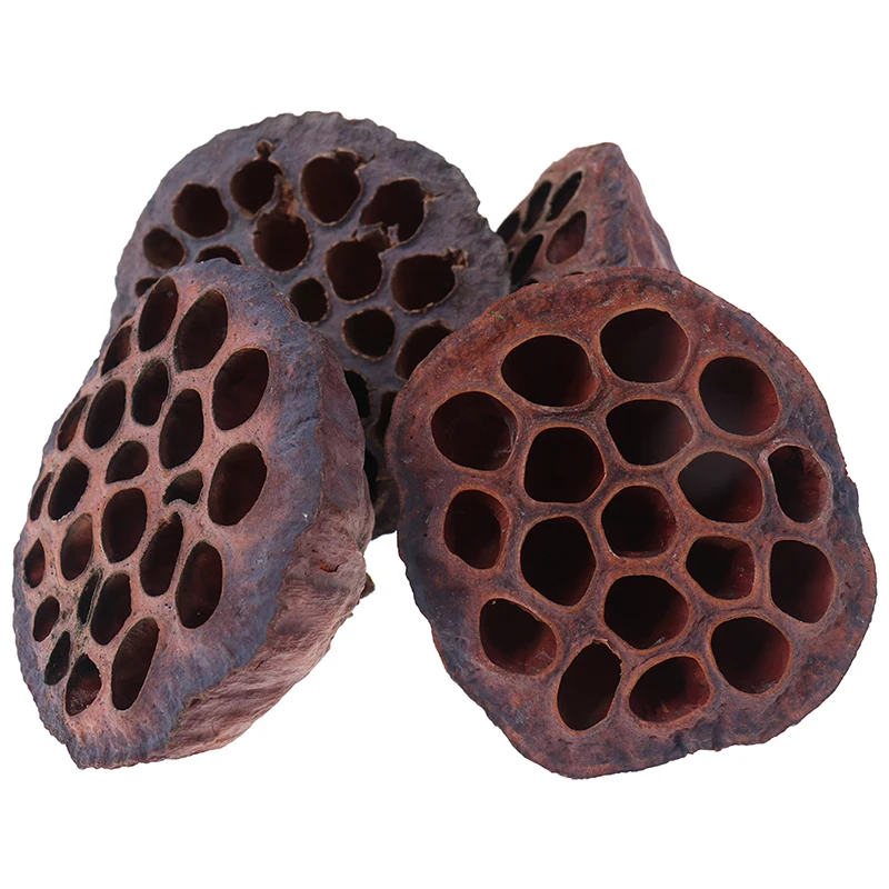 New Natural Dried flower Lotus DIY decoration for home party office decorative pressed flowers 1pcs