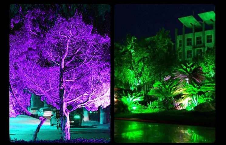 10407922876_2019850902