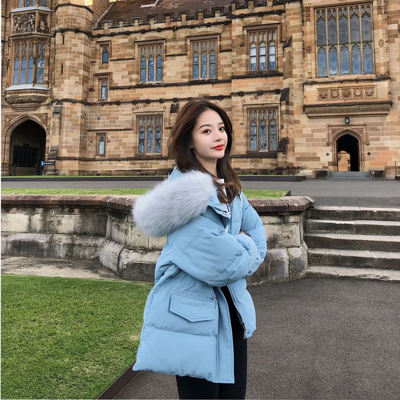 

Cotton-padded Jacket 2018 New Style Popular down Jacket Cotton-padded Clothes CHIC down Coat Winter Short Coat Women's Thick Loo