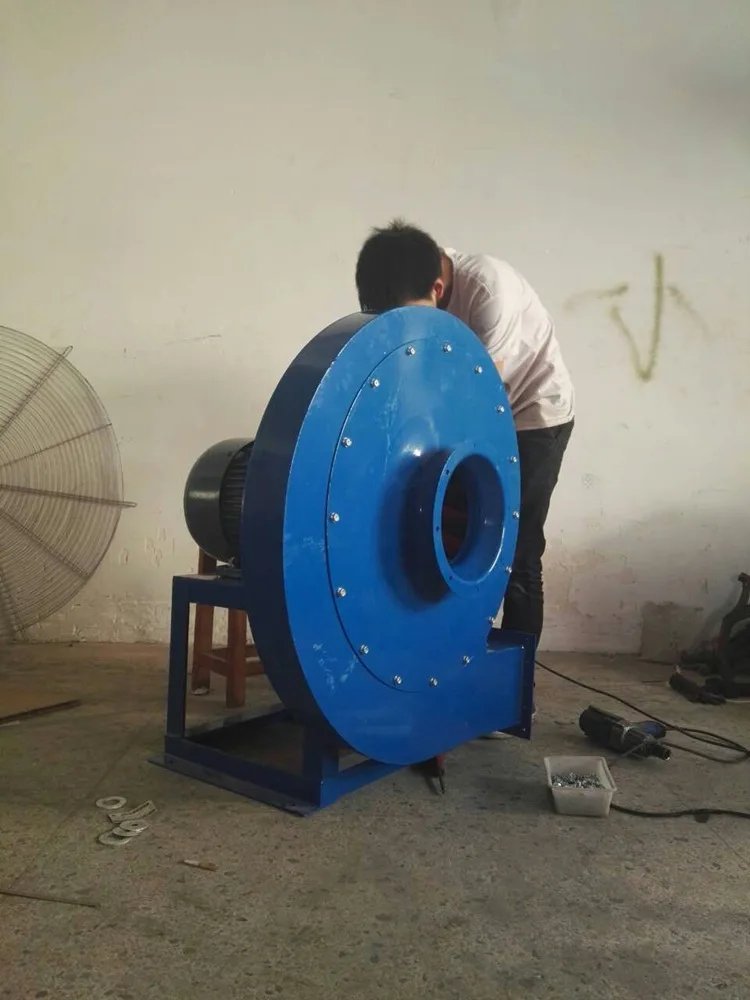 4482520334_77568454