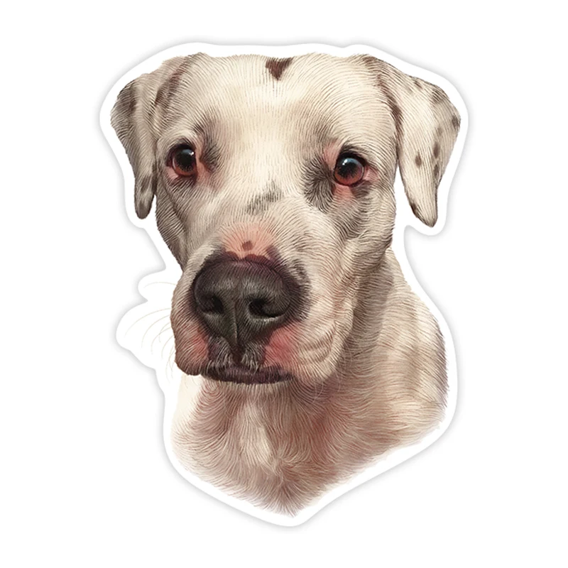 

A0193# 13 cm/17 cm Self-adhesive Argentine Dogo Decal Car Sticker Waterproof Auto Decors on Bumper Rear Window Laptop