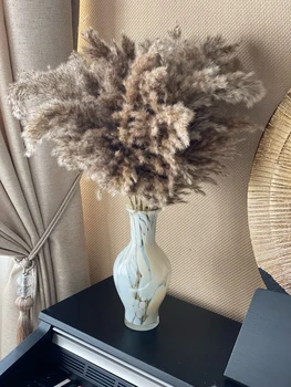 

20 Pcs Pampas Grass Real Dried Plants Decor Wedding Flower Bunch Natural Plants Decor Flowers Free Shipping 60cm Long
