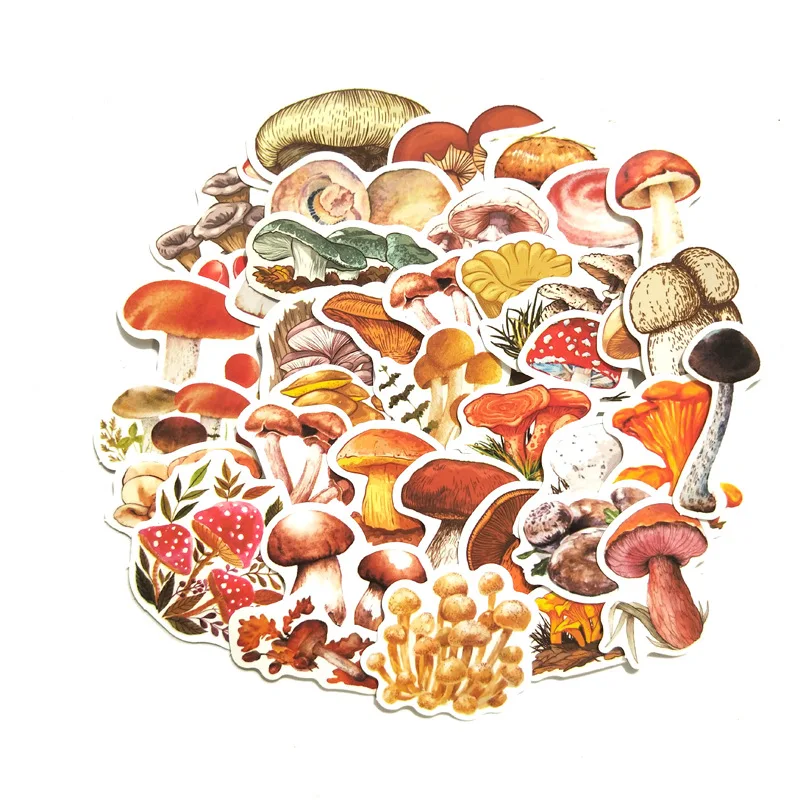 12839593486_413955102