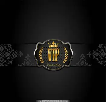 

vip dropshipping RU913log-9