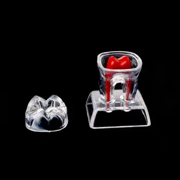 

Dentist Dental Base Hard Plastic Teeth Tooth Molar Model Separable Fit for Smile