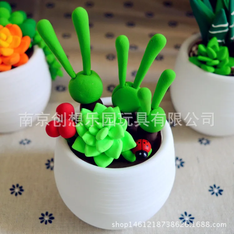 Summer Hot Selling Gift Children Parent And Child Activity DIY Hand-made Succulent Material Box Colored Clay Set