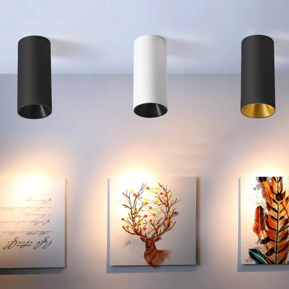 

Nordic COB Surface Mounted Downlight 10W 12W 15W Background Wall Clothing Store Showcase Window LED Ceiling Spot Lighting