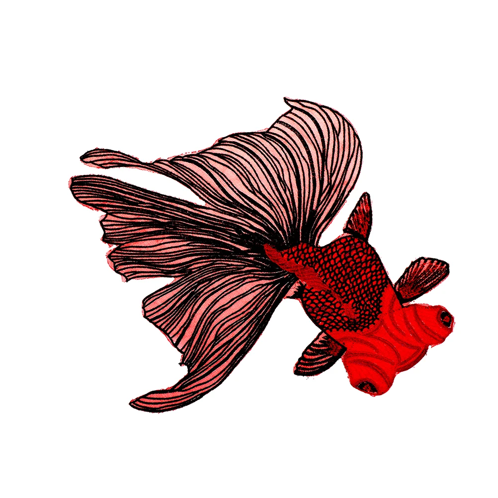 1 PCS Lace Neckline collar 38*35 Big Fish Embroidered Patches Sewing for Clothes Applique Diy Accessory Suppliers Sticker