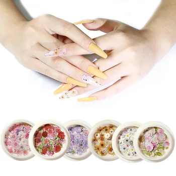 

50 pieces/box Dried Flowers Nail Art Decorations Colorful Natural Dry Flower wood pulp Stickers UV Gel Manicure Decals