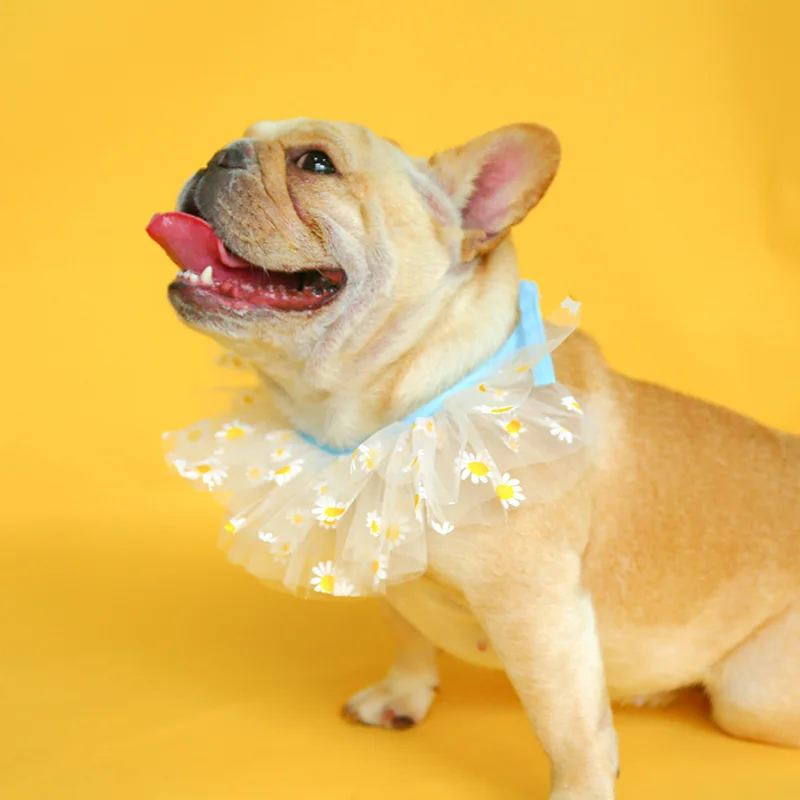 雏菊纱围嘴_0192