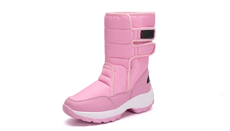 9588794999_488470614