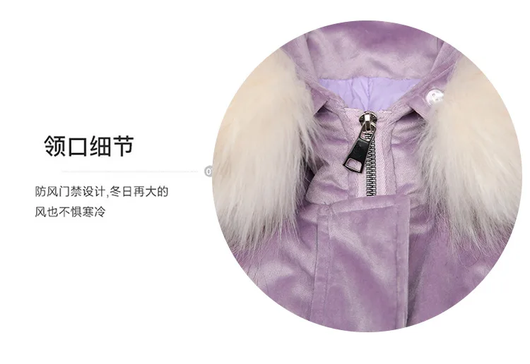 Pleuche cotton1_05.jpg