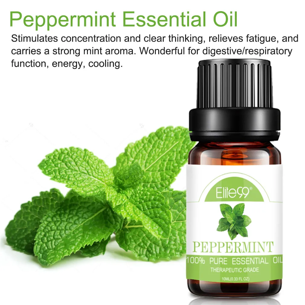 薄荷.jpg_.webp 薄荷.jpg_.webp