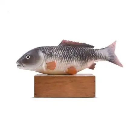 

Simulated Fish Meat Gray Carp Fake Kitchen Props Nongjiale Hotel Unisex Finished Goods Food 2021