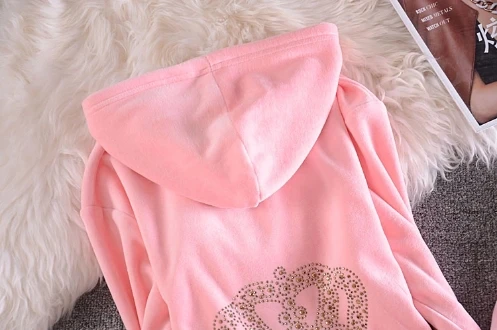 2021 Women's Elegant Velvet Tracksuit Two Piece Set Women Sexy Hooded Long Sleeve Top And Pants Bodysuit Suit suit set