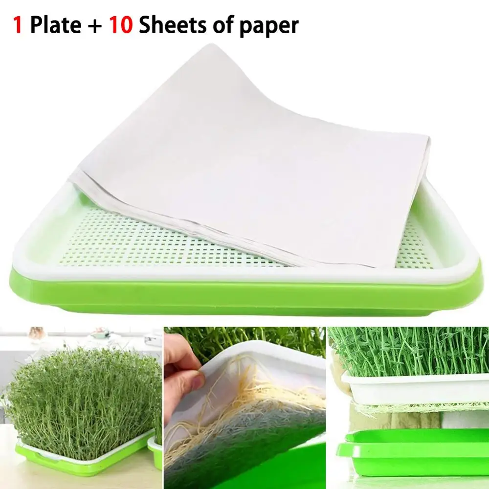 

Double-layer Plastic Hydroponic Flower Basket Flower Plant Sprouting Tray Box Sprout Seedling Tray With10 sheets Nursery Paper