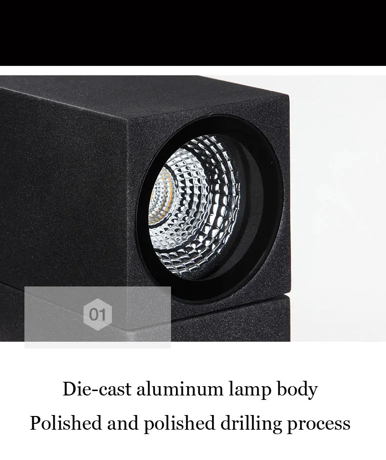 Adjustable outdoor wall light (10)
