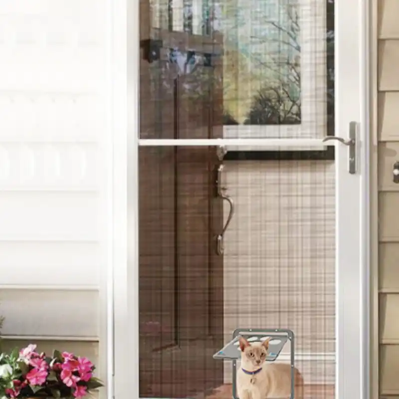 cat scratching screen door