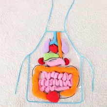 3D орган тела плюшевая игрушка Viscera обучение посуда тело орган s игрушка