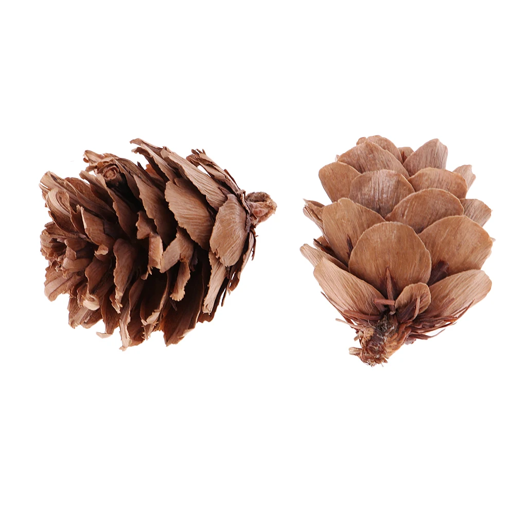 30 Pcs Naturally Mini Decorative Pinecone Pine Cones Vase Bowl Filler Displays Crafts Christmas House Tree Hanging Ornament