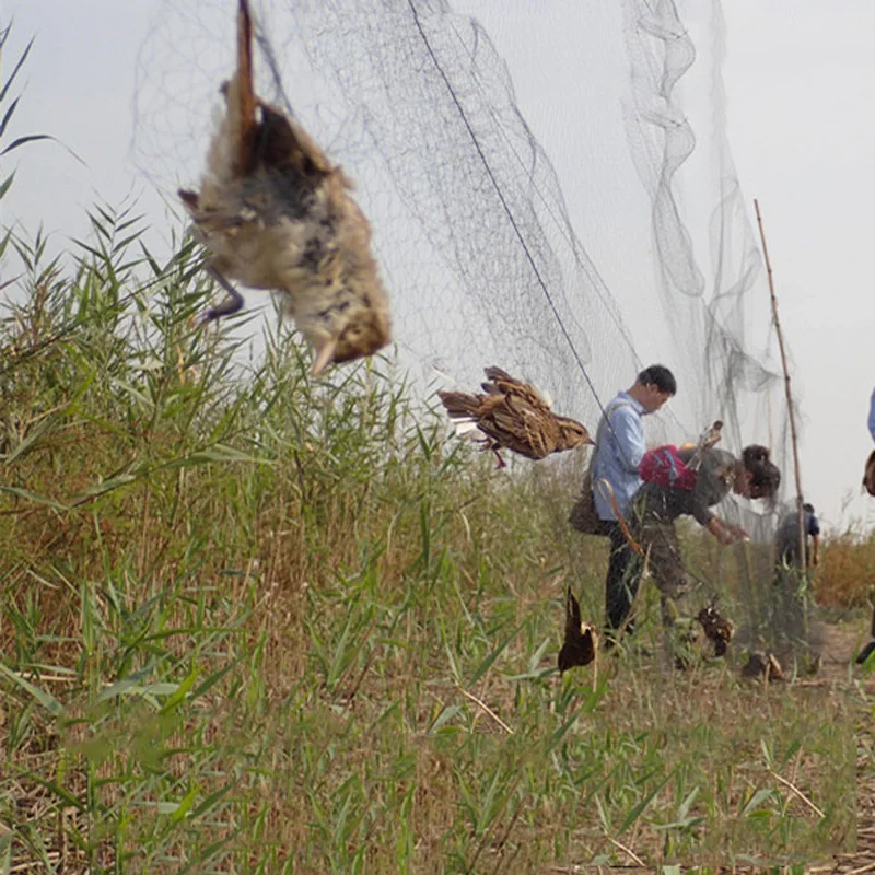

Garden Catching Bird Trap Net Anti Bird Mist Net Mesh Protection Fruit Crop Not Hurt Bird Orchard Protection Bird Net Tools