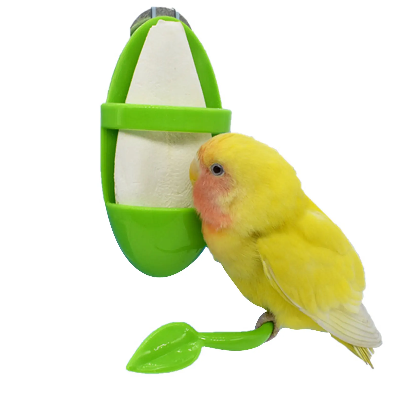 

Parrot Feeder With Standing Rack Fruit Vegetable Holder Plastic Hanging Food Container Cage Accessories Pet Bird Supplies