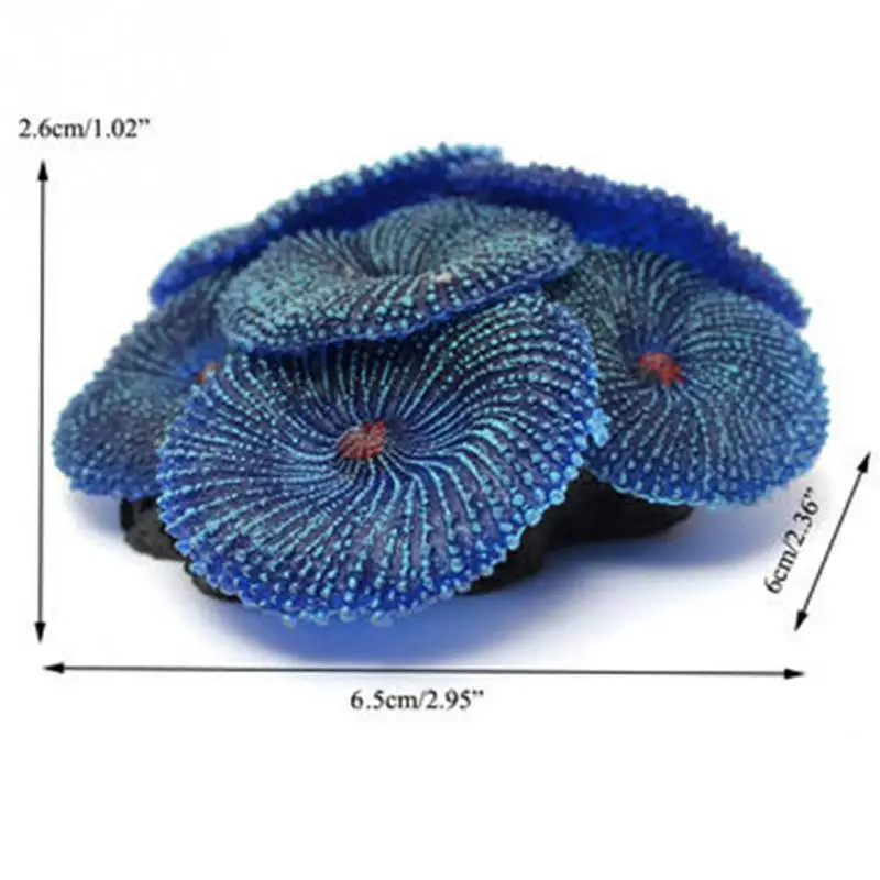 B1
