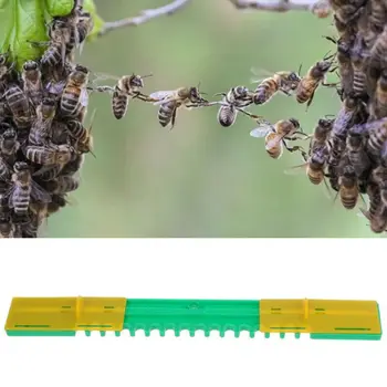 

New Bee-Keeping Anti-Escape Beehive Door Entrance Gate Tool Kit For Beekeeper