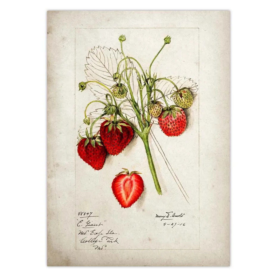 Hfd02b3a593cd40bdba2a05a679353395P