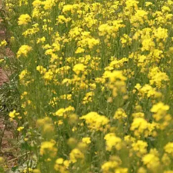 

Baby activities supplies