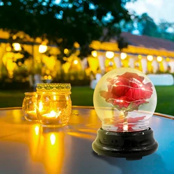 Lumière Led de Rose éternelle artificielle enchantée pour noël, cadeau de saint valentin, lampe de nuit pour chambre à coucher, nouvelle collection 