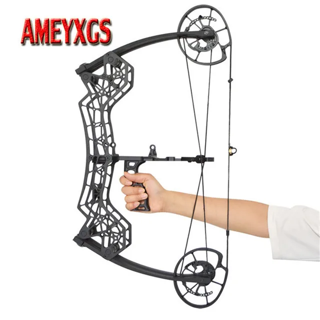 US $526.19 1set Archery 60lbs Adjustable Compound Steel Ball Arrows Dual purpose Pulley 310FPS