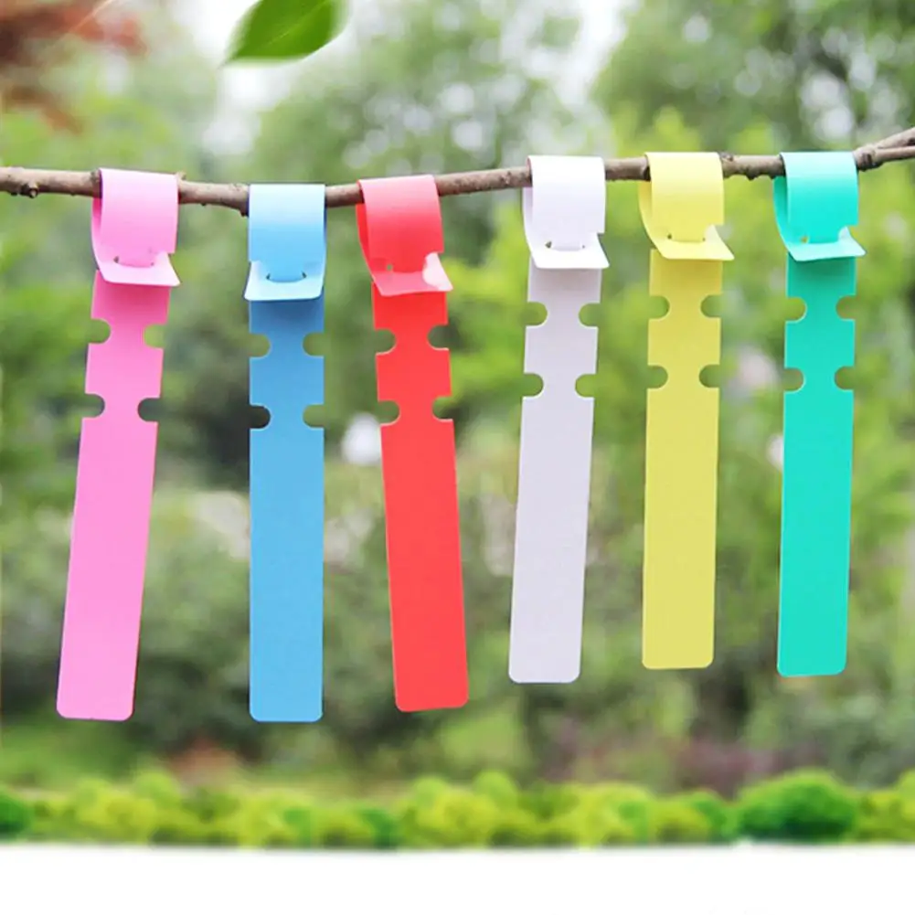 100Pcs Plant Seed Labels Pot Marker Nursery Seedling Garden Stake Tags Cute Garden Labels