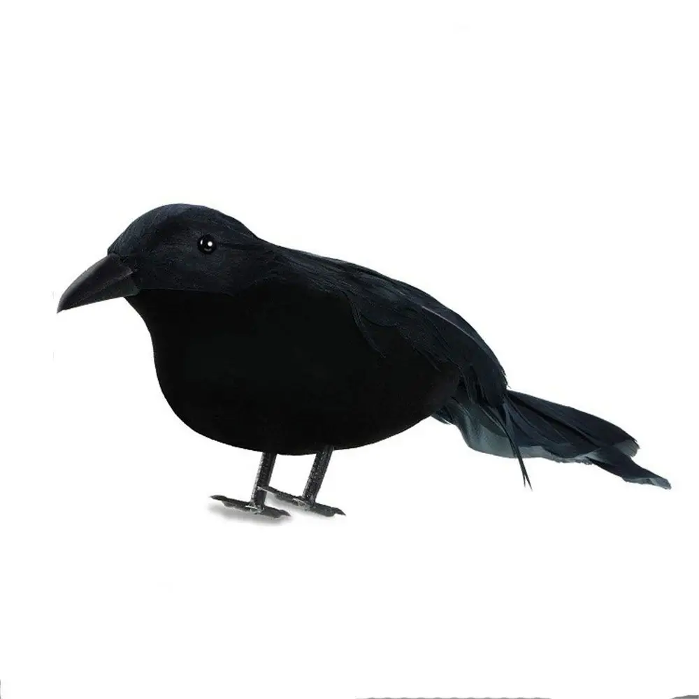 Вороны 3. Эрик дрейвен плащ. Krähe надпись. Эрик дрейвен. Искусственный ворон.