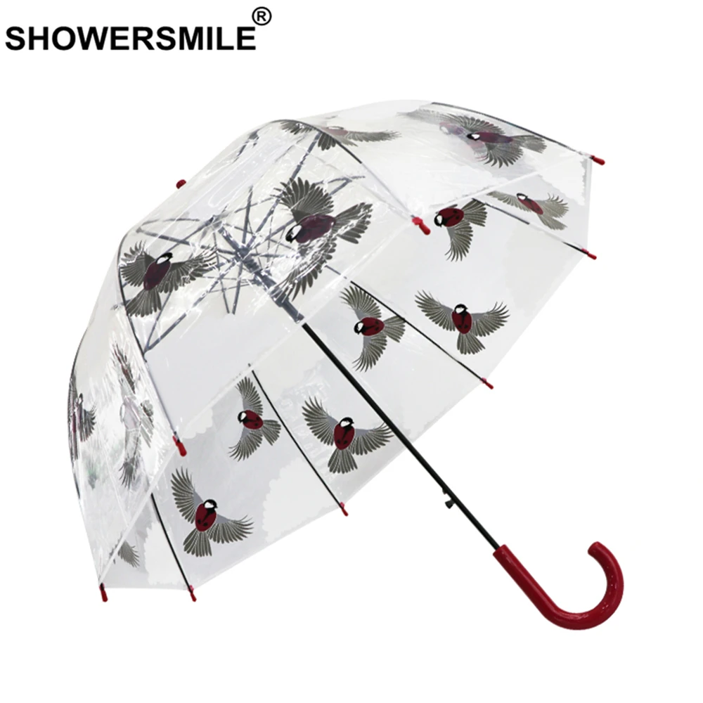 SHOWERSMILE Clear Umbrella Rain Women Long Handle Transparent Umbrella Automatic Ladies Hanging Bird Hand Painted Umbrellas