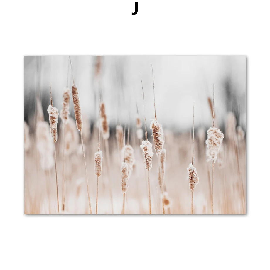 Осенняя тростниковая трава цветок растения пейзаж скандинавские плакаты и принты настенные художественные картины на холсте настенные картины для декора гостиной - Цвет: J