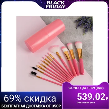 

Makeup Brush Set 12-Piece Case Pink