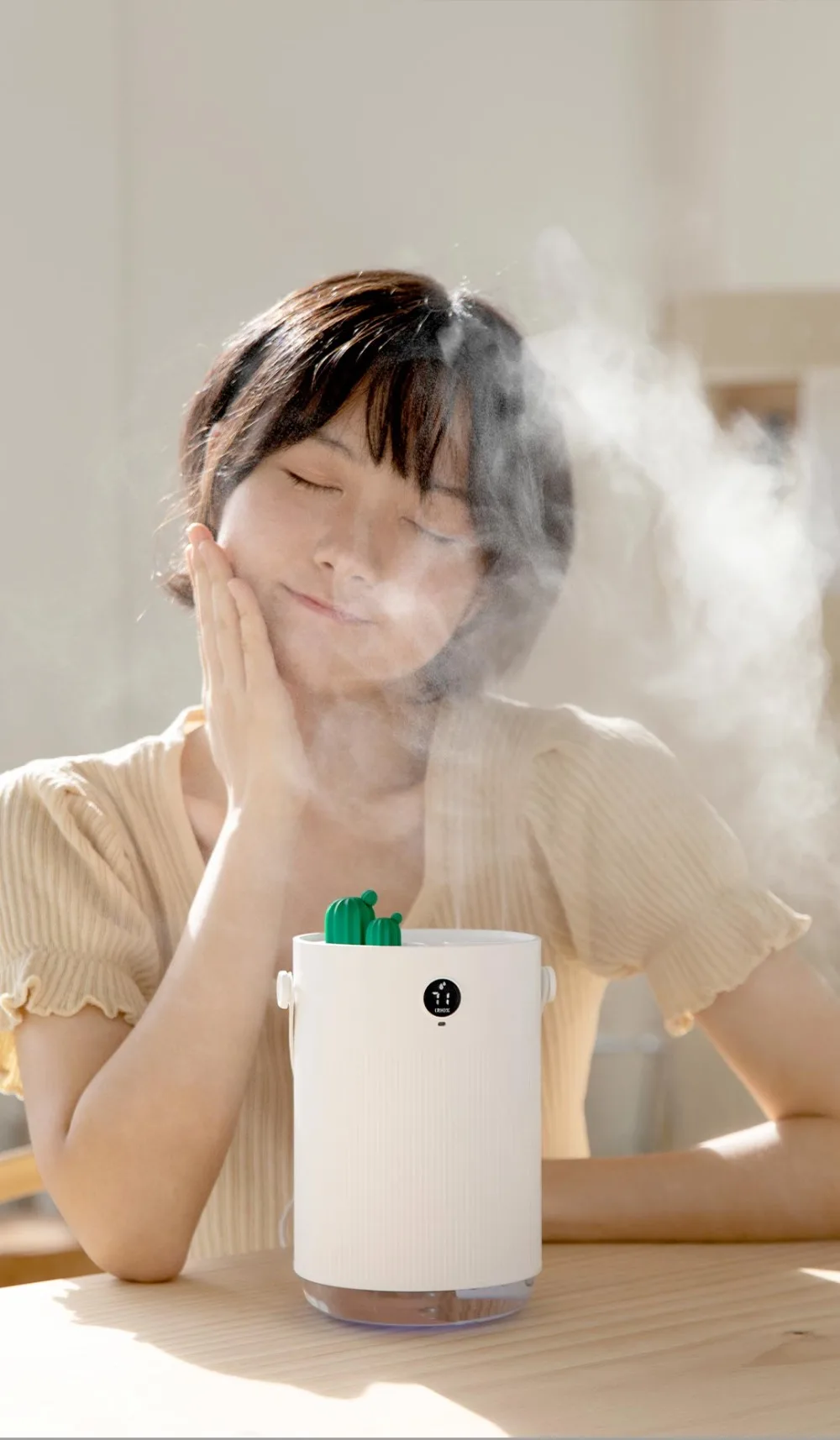 YouPin 1L Sothing Cactus Double Spray Humidifier LCD Digital Detect Humidity Purifying Air Mist Diffuser With 7 Colorful LED Light (20)