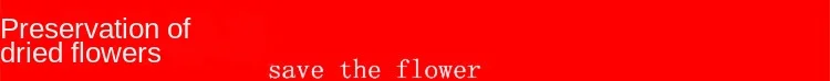 Unnamed_Copy22