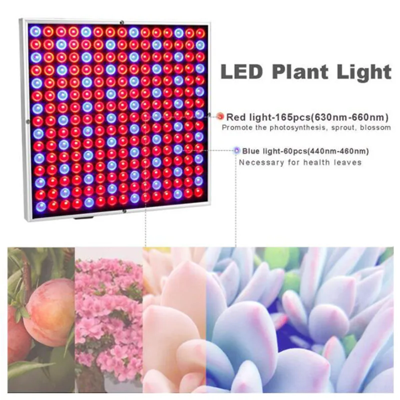 QQ截图20191130190508